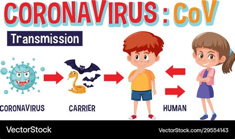 Coronavirus Transmission Chart With Pictures Vector Image