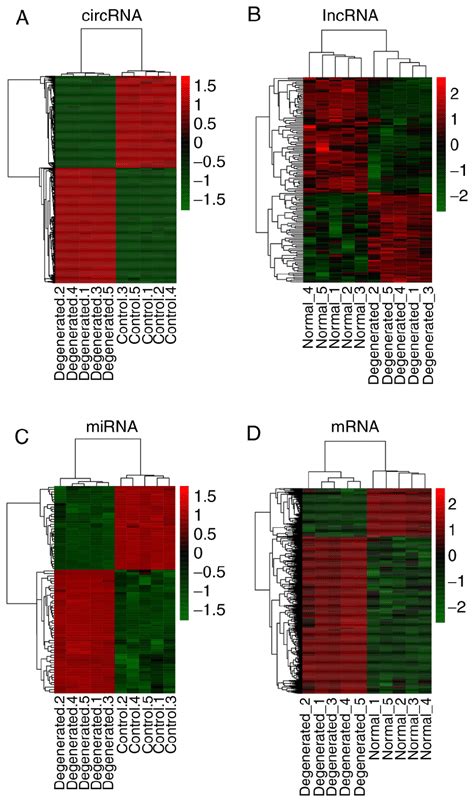 Hierarchical Clustering And Heat Map Analysis Of Differentially Download Scientific Diagram