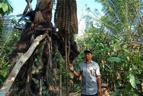 Koltim Menjadi Daerah Terdepan Dalam Penyaluran Dan Pengelolaan Dana