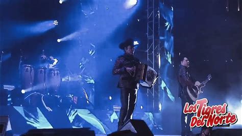 Los Tigres Del Norte La Camioneta Gris En Vivo Anahaim Ca Youtube