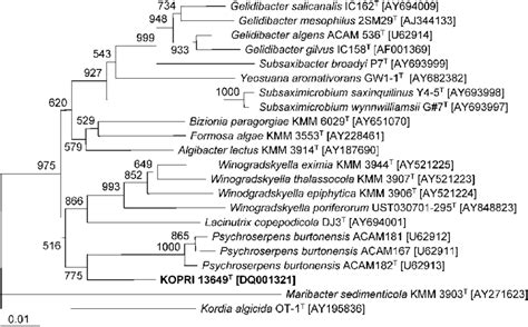 Phylogenetic Tree Based On Nearly Complete 16s Rrna Gene Sequences