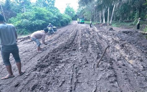 Jalan Penghubung Sekayu Keluang Muba Rusak Parah Truk Batu Bara