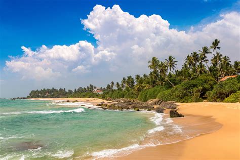 Sri Lanka Travel Guide Everything To Know Before You Go The Independent