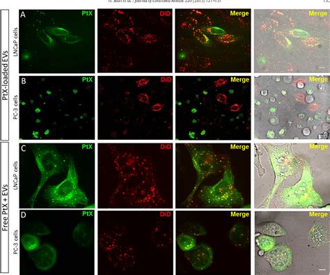 Figure From Microvesicle And Exosome Mediated Drug Delivery Enhances