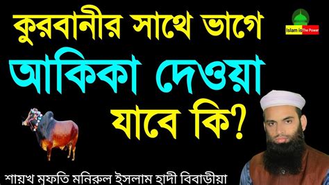 কুরবানীর সাথে ভাগে আকিকা দেওয়া যাব কি কুরবানীর সাথে আকিকা দেওয়া যাবে