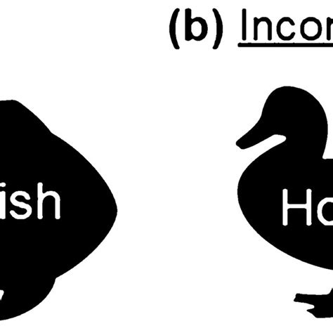 Example Stimuli Of The Stroop Test A Congruent And B Incongruent Download Scientific Diagram