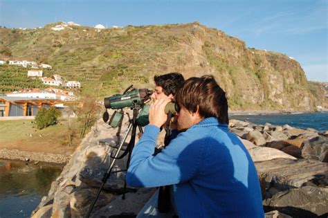 Madeira Full Day Birdwatching By Madeira Wind Birds