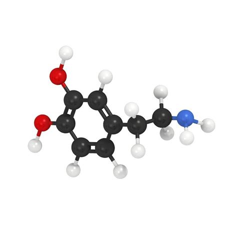 Dopamine Molecule 3D model | CGTrader