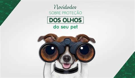 Novidades Sobre Prote O Dos Olhos Do Seu Pet Pet Vis O