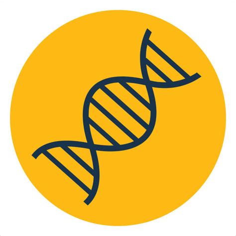 100 Genome Sequencing And Logo Stock Illustrations Royalty Free
