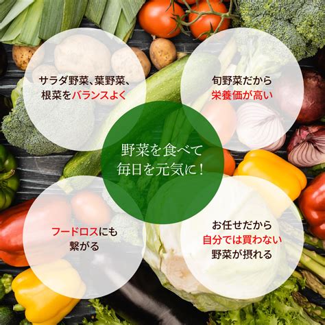 【楽天市場】【ふるさと納税】野菜セット（7‐9種類）栽培期間中農薬不使用！ 季節の野菜 旬 無農薬 野菜 やさい 新鮮 自然 健康 セット