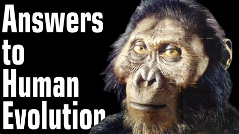 How The Cradle Of Humankind Reveals The Answers To Human Evolution Go It