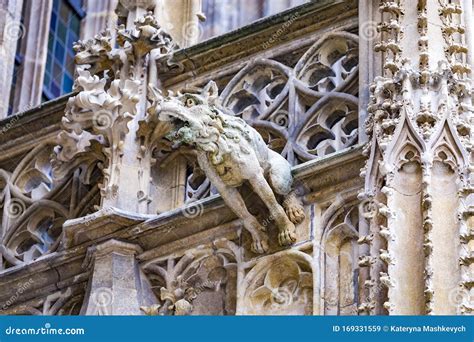 Grotesque Gargoyle Water Spout Sculpture On Facade Of Gothic Medieval