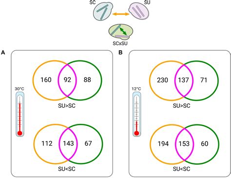 Frontiers Integrative Omics Analysis Reveals A Limited