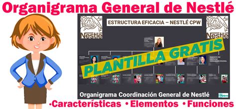 Organigrama General De Nestlé 2024 Características Elementos Funciones