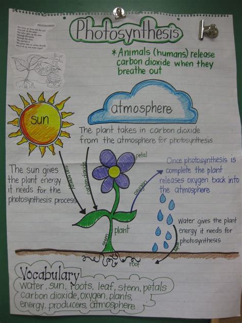 Science Anchor Charts 5th Grade Science