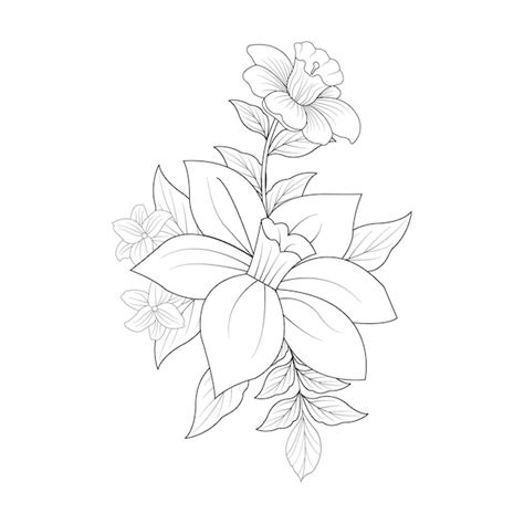 Premium Vector Flowers Drawing With Line Art On White Backgrounds