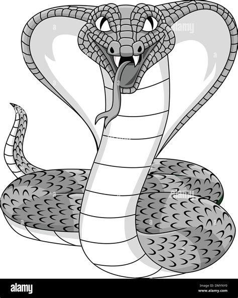 Angry Cobra Tattoo Stock Vector Image Art Alamy