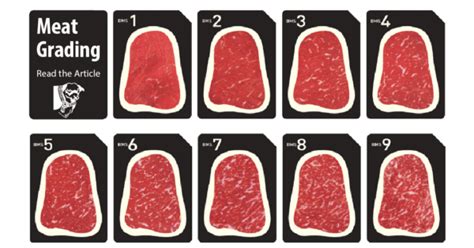 牛肉分級怎麼分A5PrimeChoice 一次搞懂