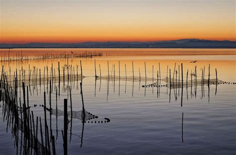 La Albufera un parque natural de tradición pesquera