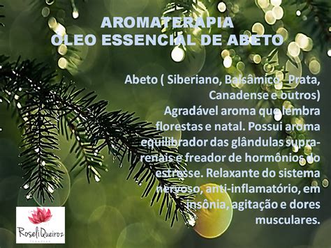 Aromaterapia Qu Ntica Aromatologia E Aromacologia Leo Essencial De