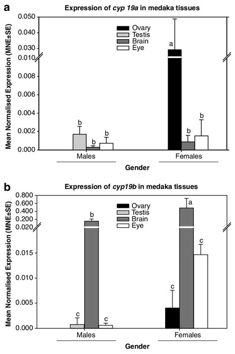 A And B Tissue And Sex Specific Differences In Cyp19a And Cyp19b