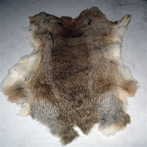 Rabbit Fur