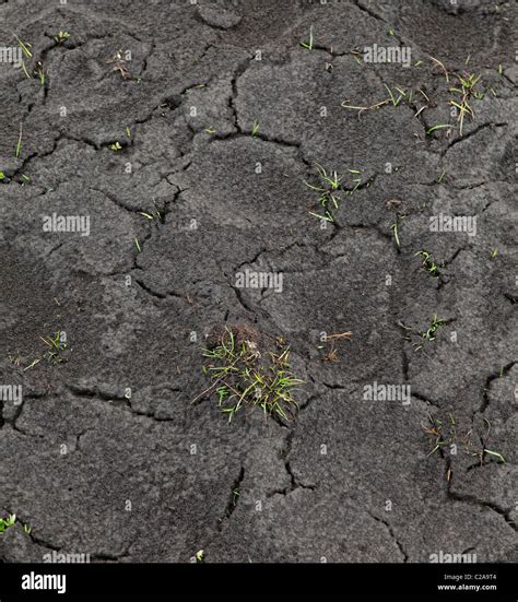 Volcanic Ash Falling