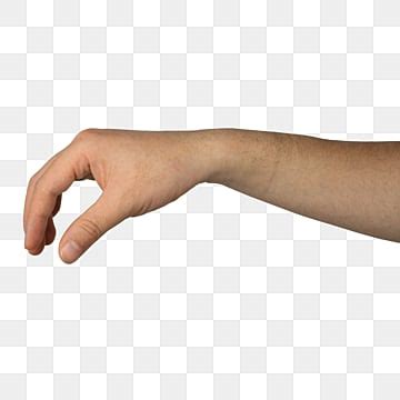 Human Hand PNG Transparent Images Free Download | Vector Files | Pngtree