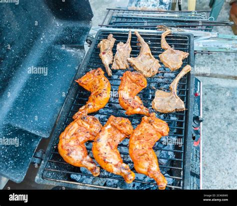 Marinated Spicy Chicken Tikka And Lamb Grilled Over Charcoal Stock