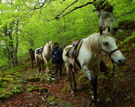 Chevaux de balades et randonnées à cheval Cavalquinta