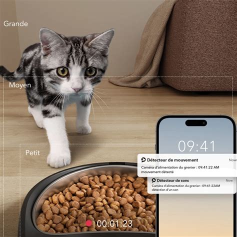 Mes Chats Testent Le Distributeur Automatique Petlibro Avec Cam Ra