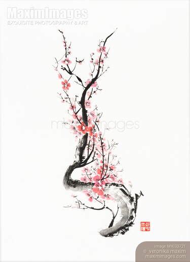 Image Of Zen Style Sumi E Painting Of Red Plum Blossom Sakura Branch