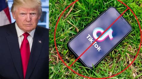 Donald Trump Blamed For Tiktok Ban People React Tiktok Being Banned In