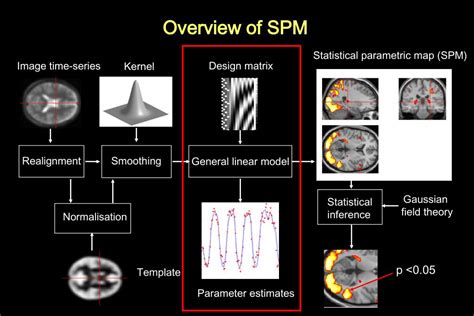 PPT - The General Linear Model (GLM) PowerPoint Presentation, free ...