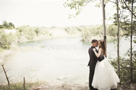 Beijando Os Pares Do Casamento Que Ficam Sobre A Paisagem Bonita Imagem