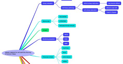 Anaesthesia Intensive Awake Fibreoptic Intubation Planning
