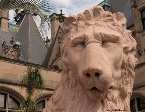 Lion Entrance Biltmore Estate Biltmore Estate Asheville Flickr