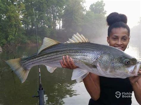 Best Times & Seasons to Fish in Georgia (Complete Guide) - Freshwater ...