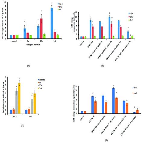 Mir Is Up Regulated In M Fortuitum Infected Zfkm A Heat Map