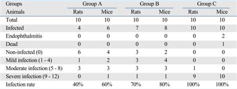 Statistical Analysis of the Models | Download Scientific Diagram