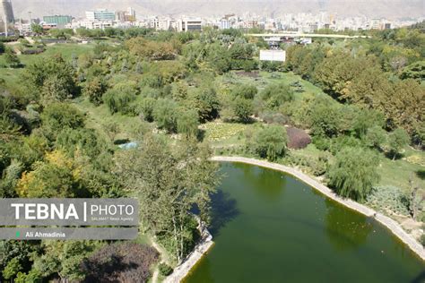 خبرگزاری سلامت پل طبیعت تهران