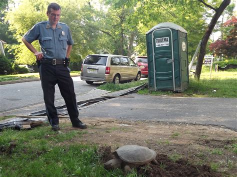 Snapping Turtle Lays Eggs As Police Ensure Safety of School Children