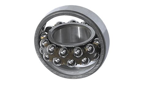 Self Aligning Ball Bearings Guide