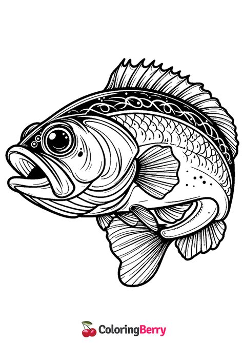 Bass Coloring Page Free Pdf Printable