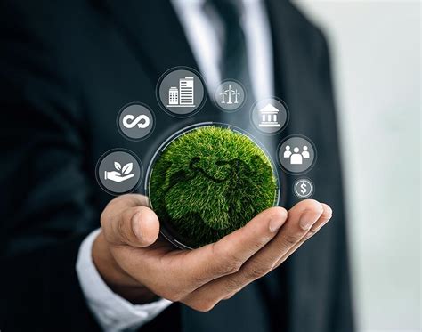 pioneering sustainability  blueprint  businesses   st