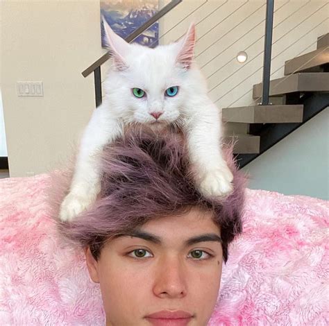 Stokes Twins Pets Celebrity Pets