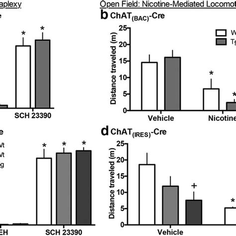 Expression Of Cre Driven TdTomato Fluorescence In The Septum And