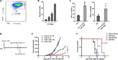 Frontiers Intra Tumoral Delivery Of Il 27 Using Adeno Associated