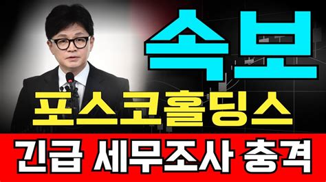 긴급속보 🚨포스코홀딩스퓨쳐엠 세무조사 갑자기 터졌다 충격이 크네요 에코프로 에코프로비엠 에코프로머티 포스코홀딩스 엘앤에프